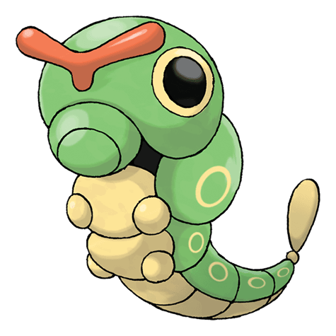 Picture of caterpie