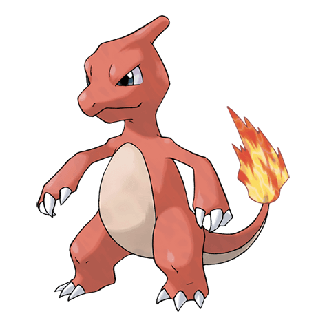 Picture of charmeleon